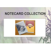 catanddogpack